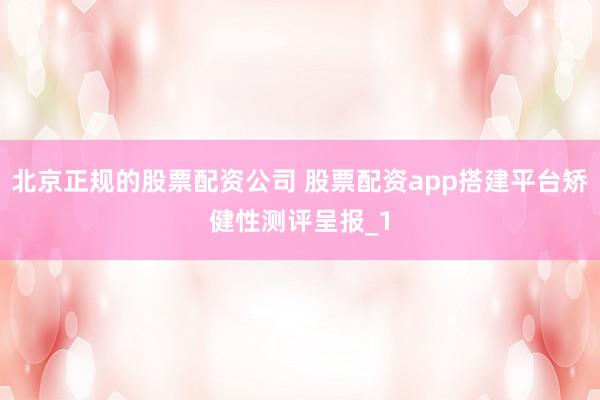 北京正规的股票配资公司 股票配资app搭建平台矫健性测评呈报_1