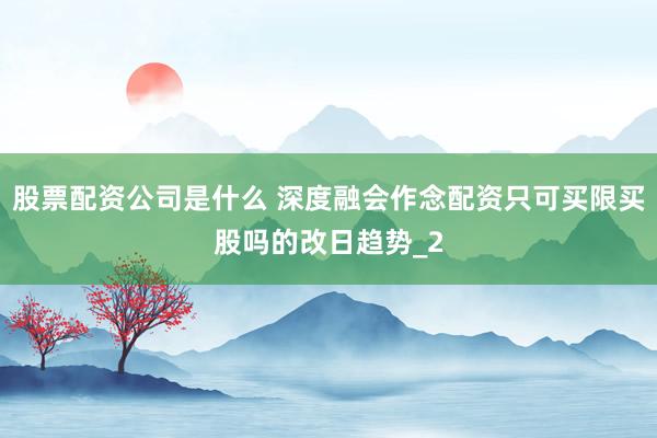股票配资公司是什么 深度融会作念配资只可买限买股吗的改日趋势_2