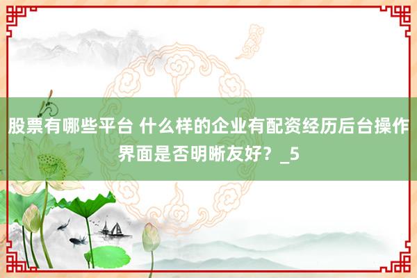 股票有哪些平台 什么样的企业有配资经历后台操作界面是否明晰友好？_5