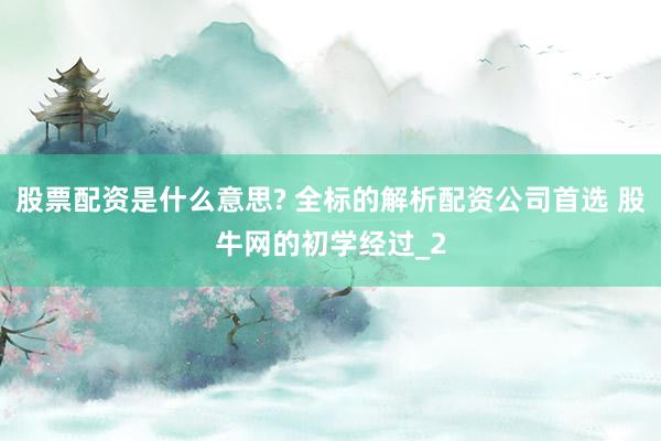 股票配资是什么意思? 全标的解析配资公司首选 股牛网的初学经过_2